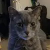 Vincent - @vincent.frank - TikTok