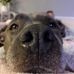 Fraser Vincent - Facebook