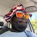 Vincent Giorgio - Facebook