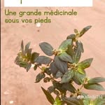 Vincent Goré Bi - @vincentgorebi - Instagram
