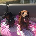 Vincent Lee & Sadie Mae Graves - @smallbutmighty09 - Instagram
