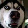 Vincent Gregorio627 - @vincentgregorio62 - TikTok