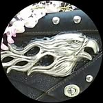 George Vincent Grillo - @ironbird800 - Instagram