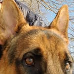 Vincent Grillo - @grillovinnie - Instagram