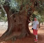 Vincent Grillo - Facebook
