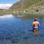 Vincent Guerra - @orchidman_ - Instagram
