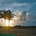 Vincent Guerra - @vincent.guerra.353 - Instagram