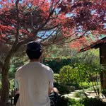 Vincent Ha - @vincent.__.ha - Instagram