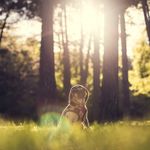 Vincent Hager - @vincenthager1294 - Instagram