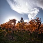 Vincent HALTER - @vincent_halter_photographie - Instagram