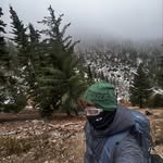 Vincent - @vincent.hanley - Instagram
