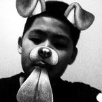 Vincent hang - @vincenthang3 - Instagram