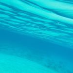 vincent_hannah - @vincent_hannah_ - Instagram