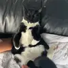 vincent hansen - @vincent.hansen4 - TikTok