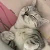 Hatchii Vincent - @hatchiivincent - TikTok