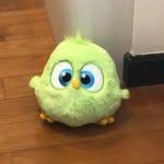 Vincent - @vincentthehatchling - Instagram