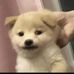 Vincent Haw - Facebook