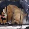 Vincent Haw - @vincent.haw3 - TikTok