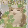 Vincent hawktuah - @vincent.hawktuah4 - TikTok