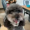 Vincent Shaw - @vincent.shaw95 - TikTok