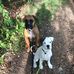 Vincent Hedlund - Facebook