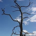 Vincent Heintz - @vincentheintz1233 - Instagram