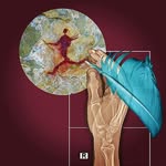 Vincent Helm - @vincent_a_helm - Instagram