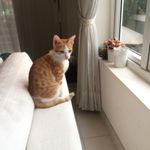Vincent Helms - @helmsvincent - Instagram