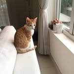 Vincent Helms - @helmsvincent - Instagram