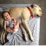 Hendrix Vincent - @hendrix_vincent - Instagram
