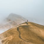 Vincent Hendrix QU - @vincenthendrixqu3658 - Instagram