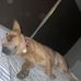 Vince Hickey - Facebook