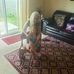Vinnie Hinkle - Facebook