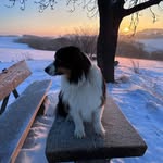 Vincent Hirsch - @v.hirschi99 - Instagram