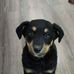 Vincent Holub - Facebook