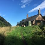 Vincent House - @vincenthouserenovation - Instagram