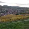 vincenthuck - @vincenthuck - TikTok