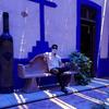 Vicente - @vincenthuerta7 - TikTok