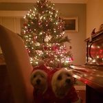 Vincent Hutton - @vincent.hutton.58 - Instagram