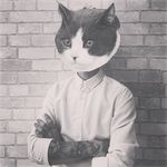 vincenting__ - @meowsteriousman - Instagram