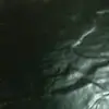 VincentKhan - @vincentkhandiifhgji - TikTok