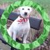 Vincent Kinney - Facebook