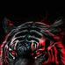 Vincent Kleinheny - Facebook