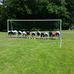 Vincent Kluge - Facebook