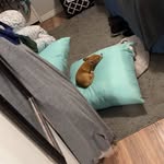 Vincent Knapp - @vinc_entknapp - Instagram