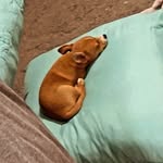 Vincent Knapp - @vincentknapp12 - Instagram