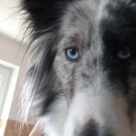 Vincent Knauer - @vinck02 - Instagram