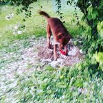 Vincent Knauer - @vinibinivini - Instagram