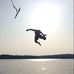 Vincent Koch - Facebook