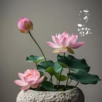 Vincent Koh - Facebook